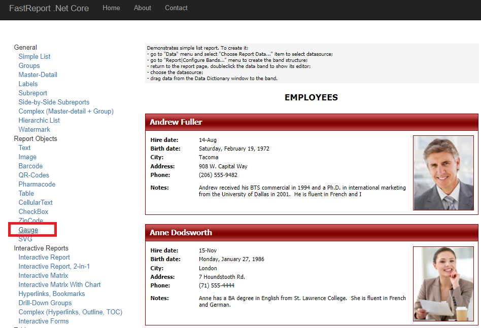 Gauge report isn't working · Issue #41 · FastReports/FastReport · GitHub