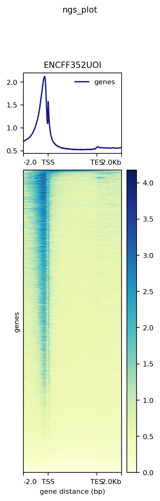 GitHub - Evgeniy-Sorokin/hse_hw2_chip