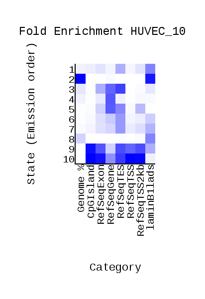 GitHub - Evgeniy-Sorokin/hse_hw3_chromhmm