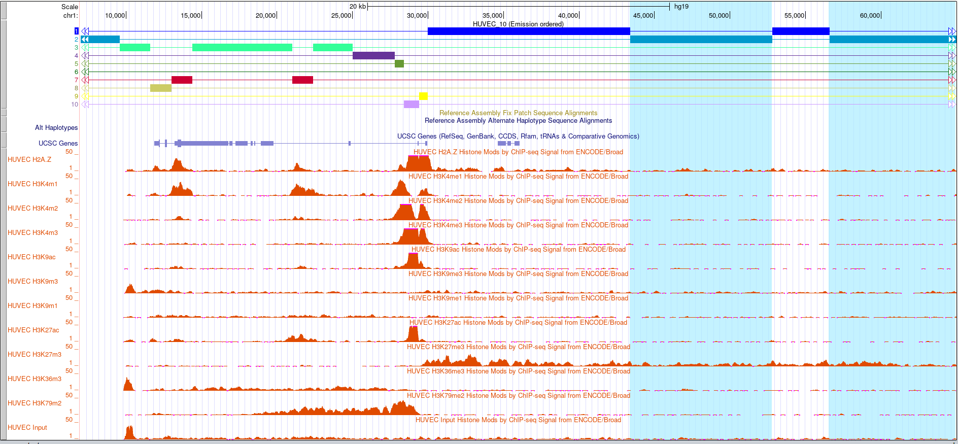 GitHub - Evgeniy-Sorokin/hse_hw3_chromhmm