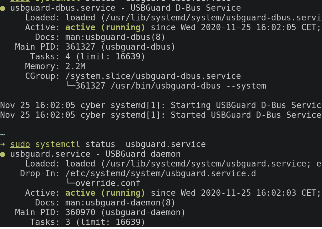 Segmentation fault / doubled freed after allow · Issue 435 · USBGuard