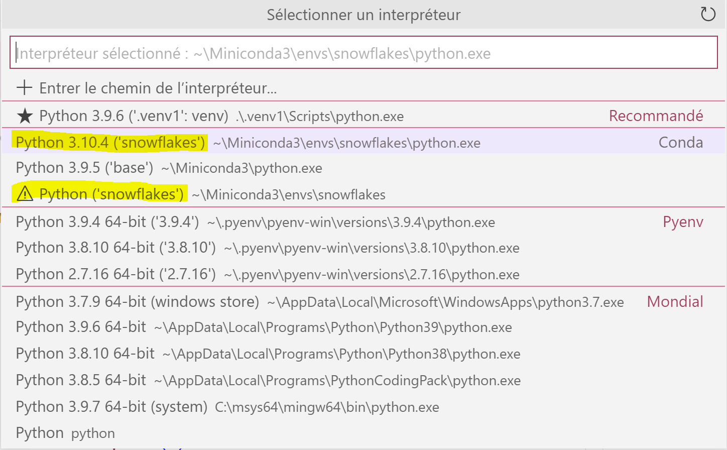 Screenshot showing there are two options named snowflakes in the interpreter picker instead of one
