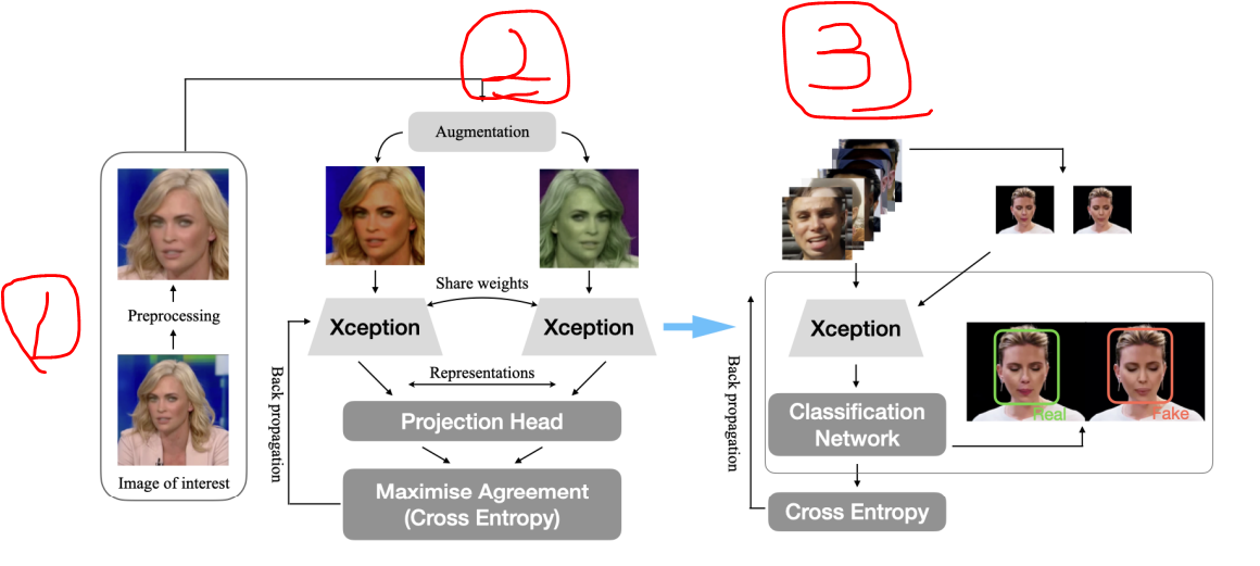 DeepfakeUCL: Deepfake Detection via Unsupervised Contrastive Learning ...