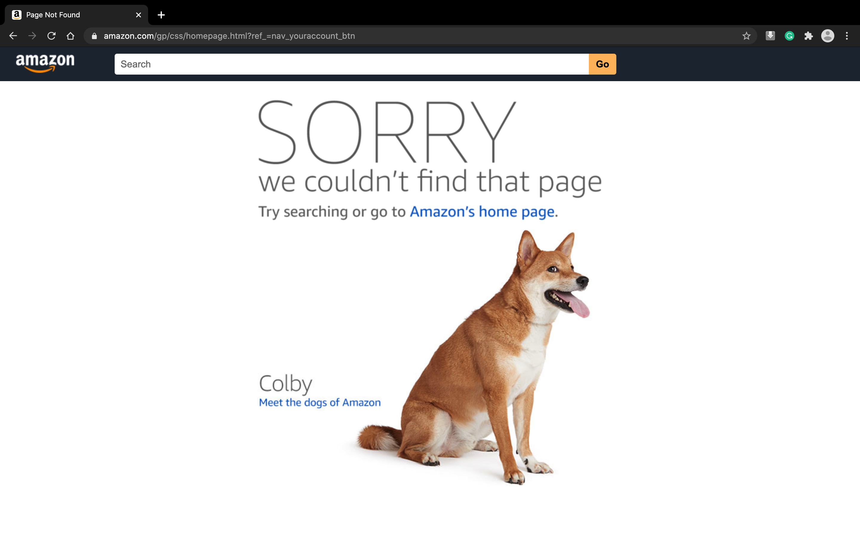Not Able to Use Amazon.com Normally After Running the Amazon Bot - Amazon Sorry There's A Problem With This Page