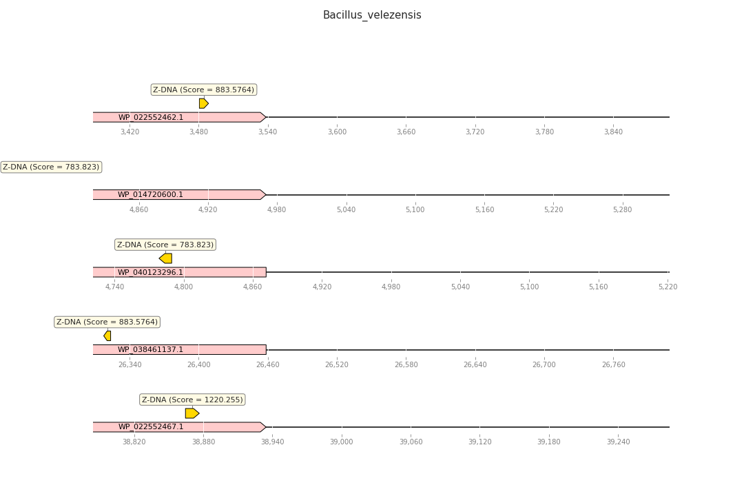 GitHub - x3042/hse22_project_bioinf: Заключительный проект курса ...
