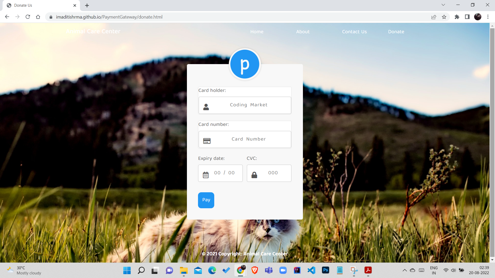 GitHub - imaditishrma/Payment-Gateway: Simple frontend payment gateway ...
