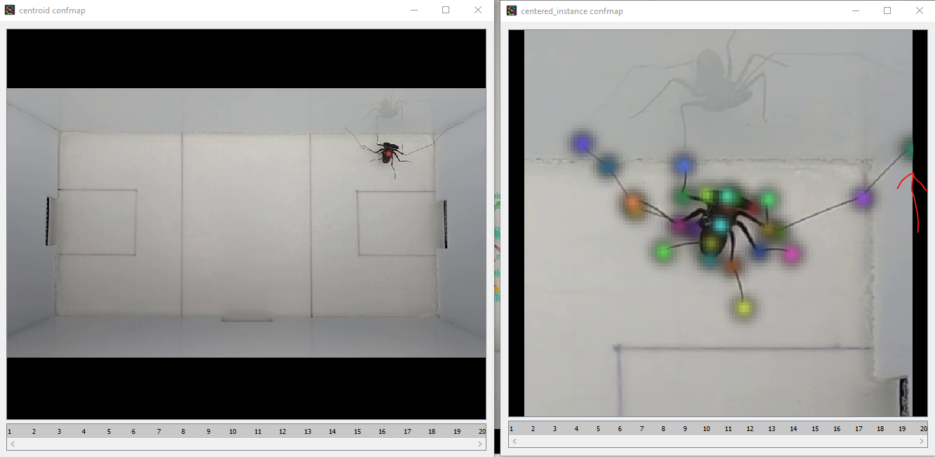 Top-down centered instance training window forces crop size to 512 ...
