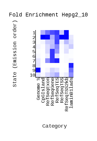 GitHub - dynataly/hse_hw3_chromhmm