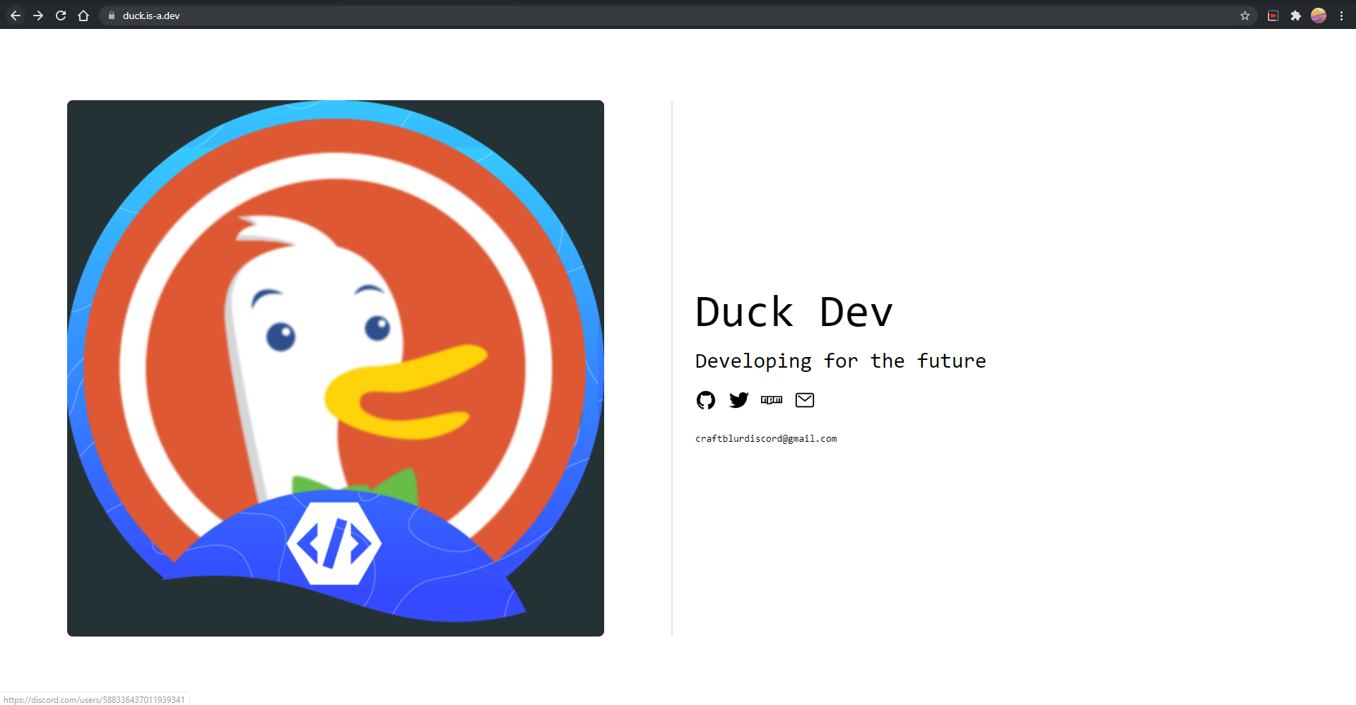 Support · Issue #1209 · is-a-dev/register · GitHub