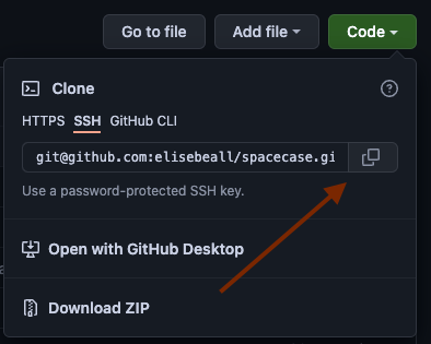 Screenshot of clone & copy buttons
