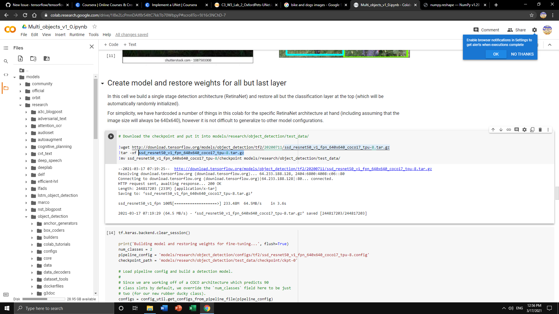 After training the model , how I can save it? or from which folder I ...