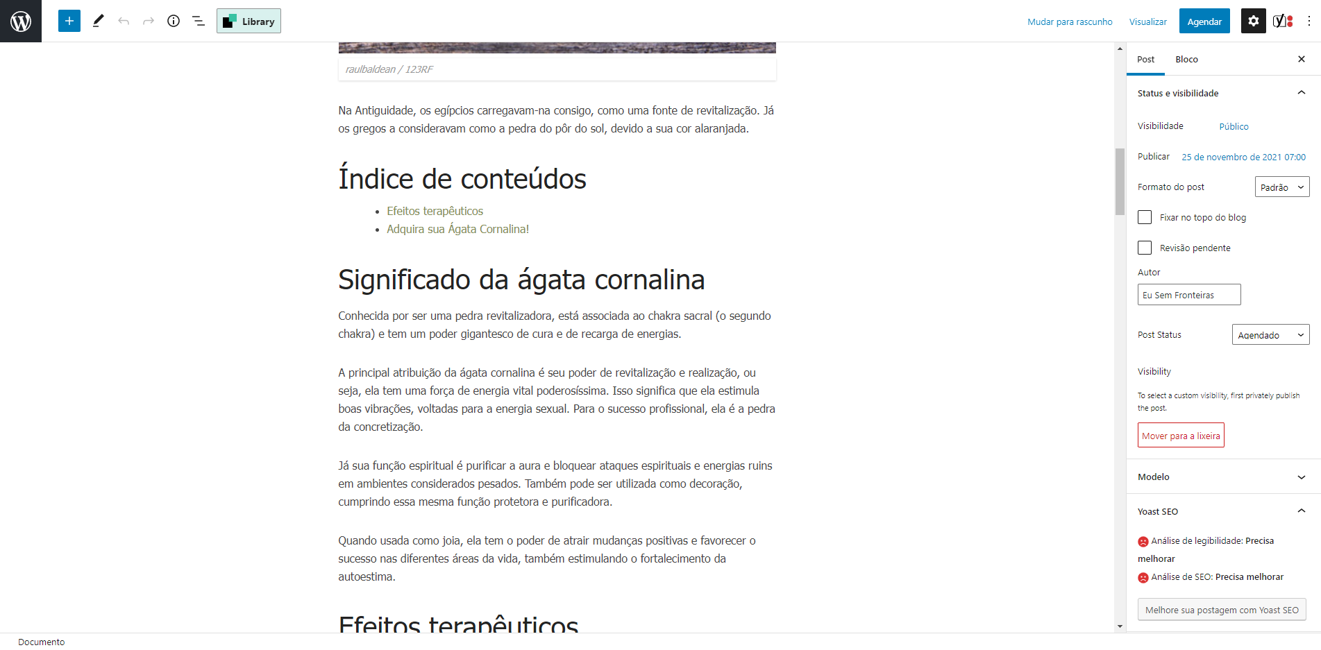 bug-yoast-table-of-contents-1