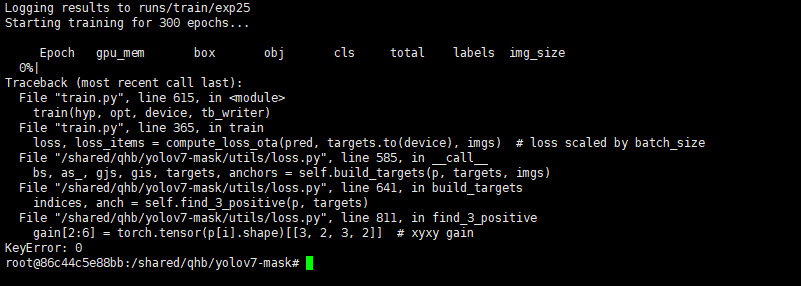 The yolov7-mask fails to calculate loss.py · Issue #535 · WongKinYiu ...
