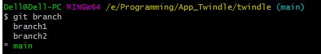 git11