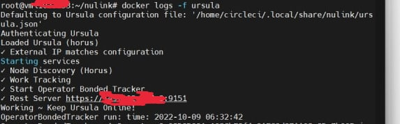 nulink/Nulink-Testnet-Tutorial.md at main · muhamad-ramadhani/nulink ...