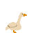 goose_gust (2)