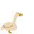 goose_flying