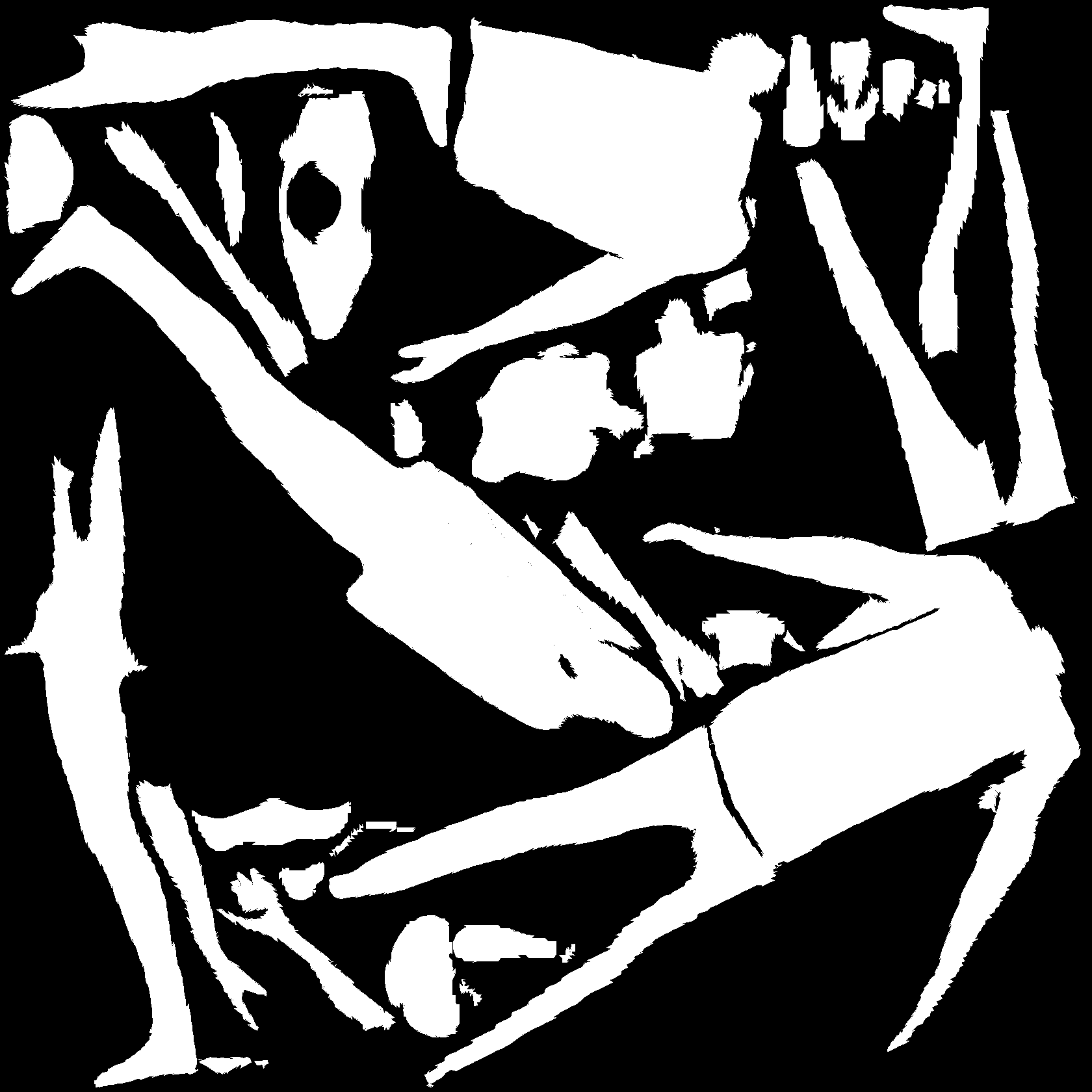 tex_mask