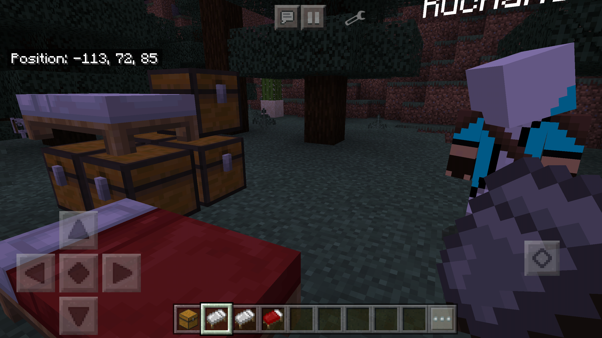 Screenshot_20200401-014923_BlockLauncher