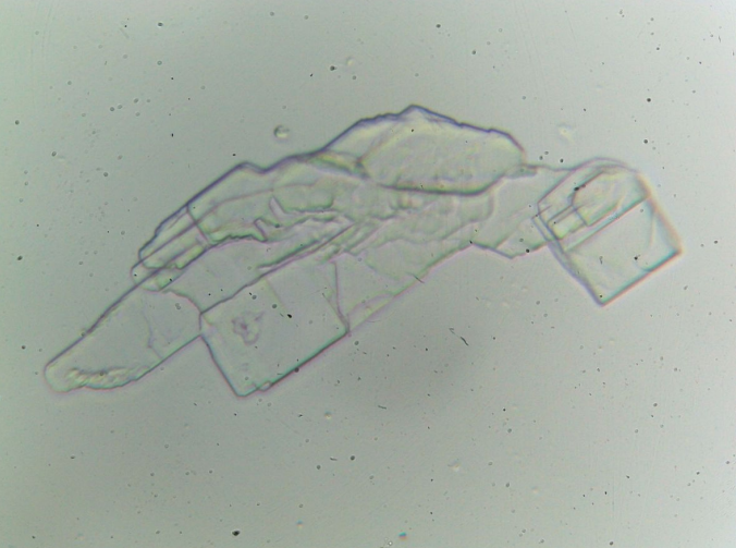 GitHub - JavalVyas2000/Classification-of-Needle-like-crystals-using ...