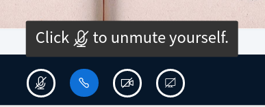 Mute Notification covers presentation controls in noisy environment ...