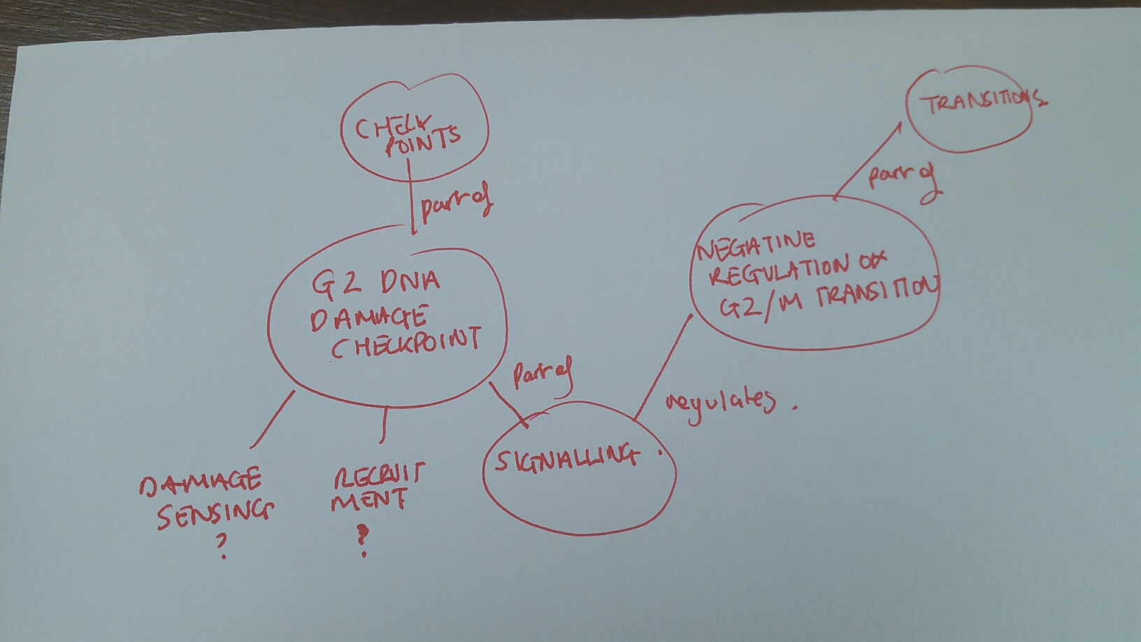 20180418_092327_resized