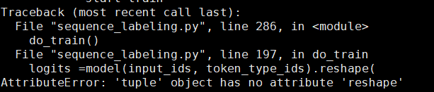 事件抽取基线系统，网络修改后，运行报 AttributeError: 'tuple' object has no attribute ...