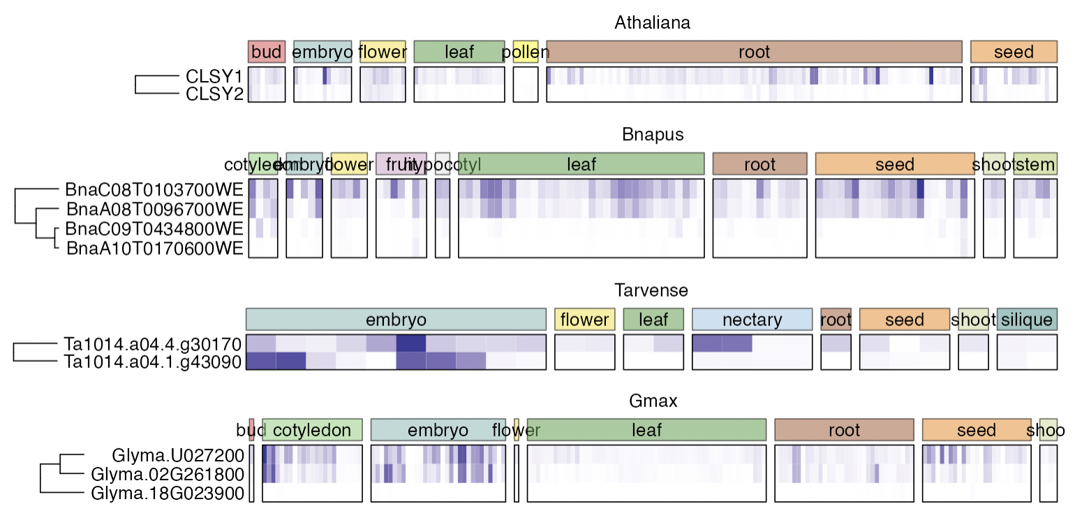 Screen Shot 2023-03-21 at 5 56 10 PM