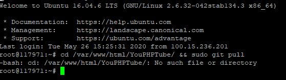 git pull 2