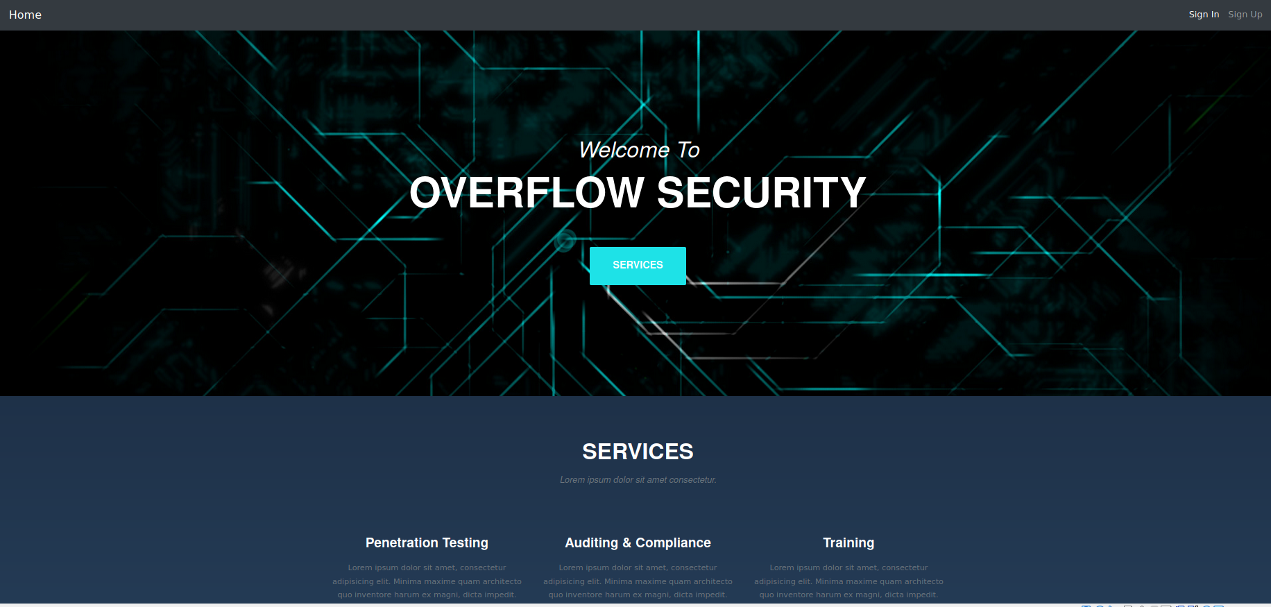 GitHub - dudek0807/OverflowWriteup