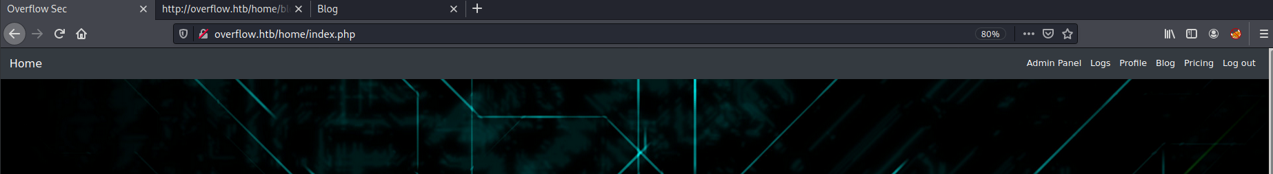GitHub - dudek0807/OverflowWriteup