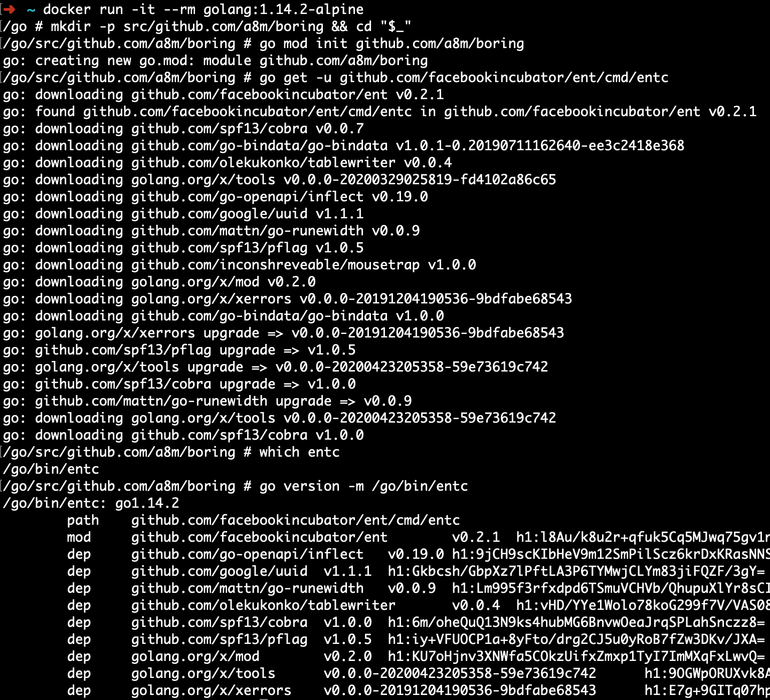 go version -m not working on alpine · Issue #450 · ent/ent · GitHub