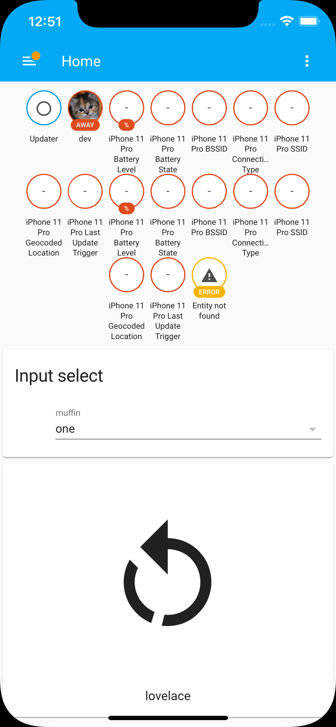 Content width too wide · Issue 1493 · homeassistant/iOS · GitHub