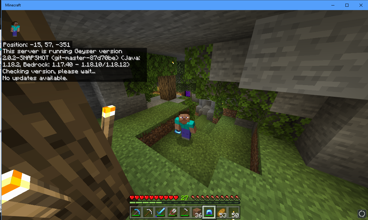 Linked Account Skin No Longer Working · Issue 2832 · GeyserMC/Geyser