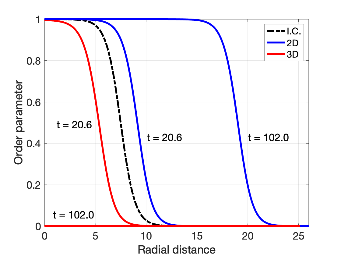 nucleusOP_evol_2D_vs_3D