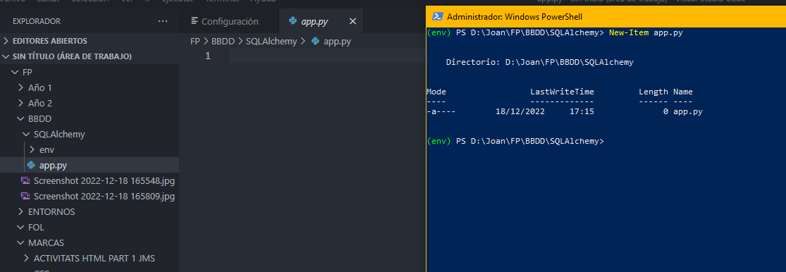 GitHub - joanmrt/Practica1BBDD