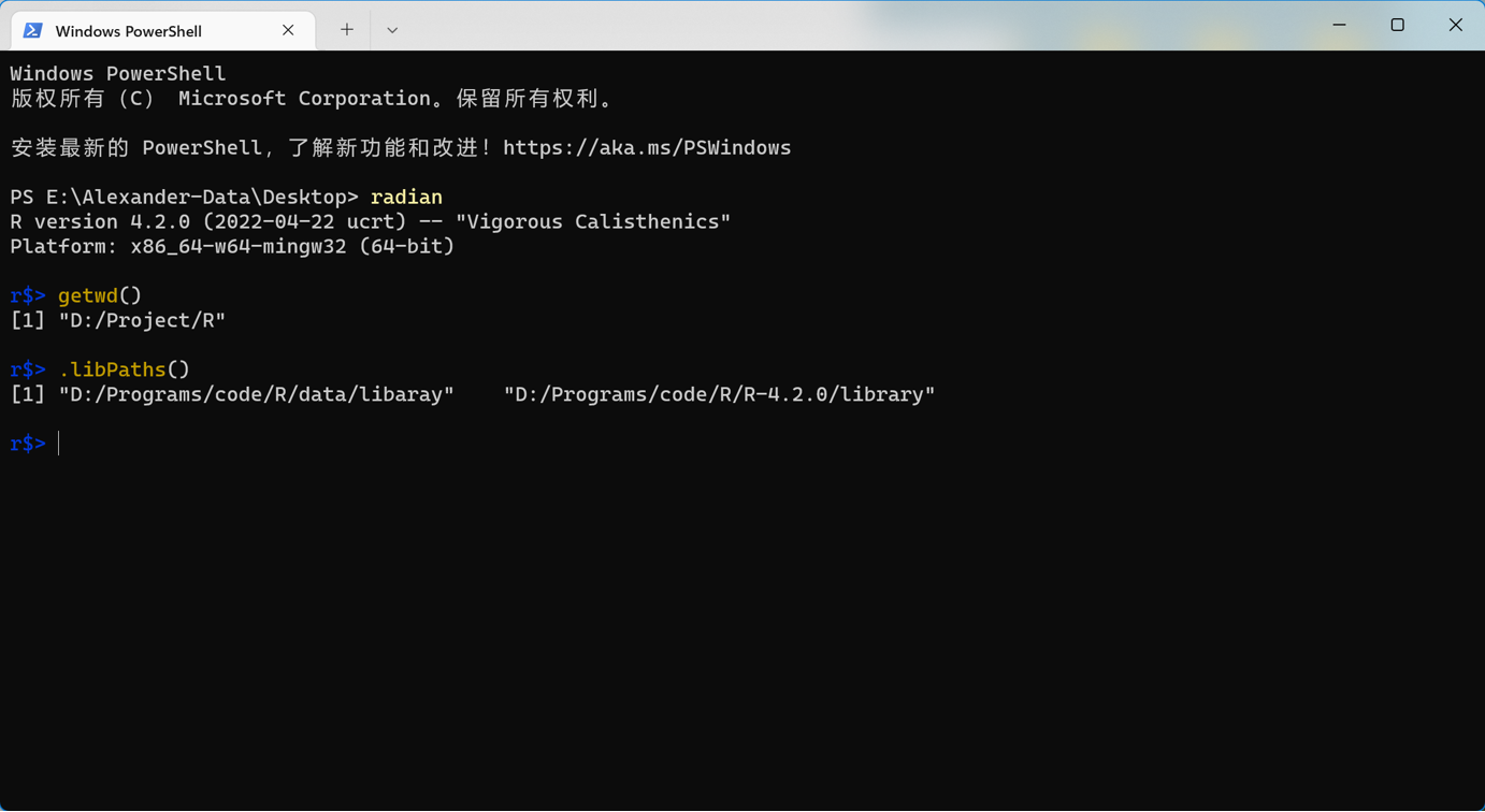 the radian in vscode could not recognize the directory that I set in ...