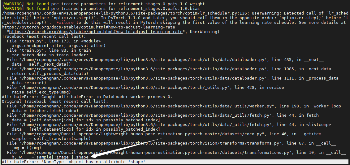 Training-step3-'NoneType' object has no attribute 'shape' · Issue #133 ...