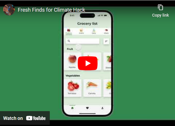 Presentation by Ramiz