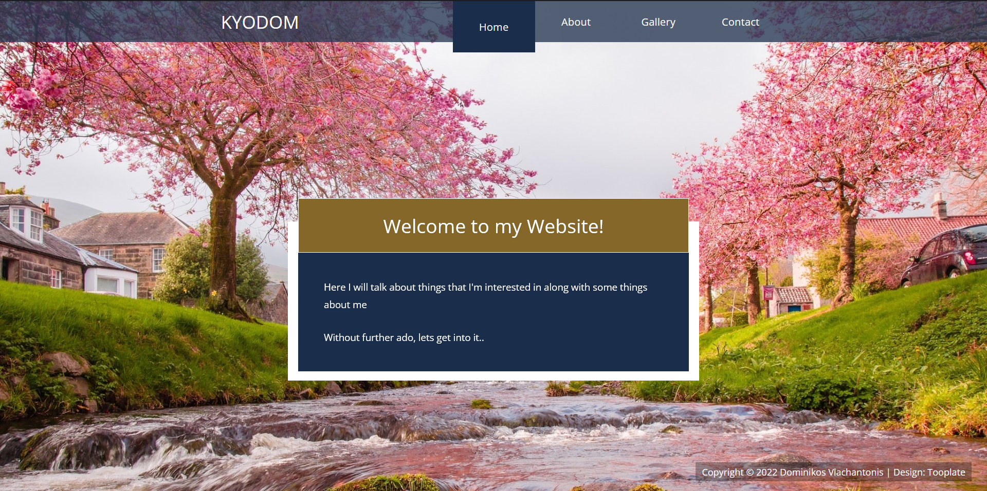 GitHub - DominikVla/website: My first static website using a template ...