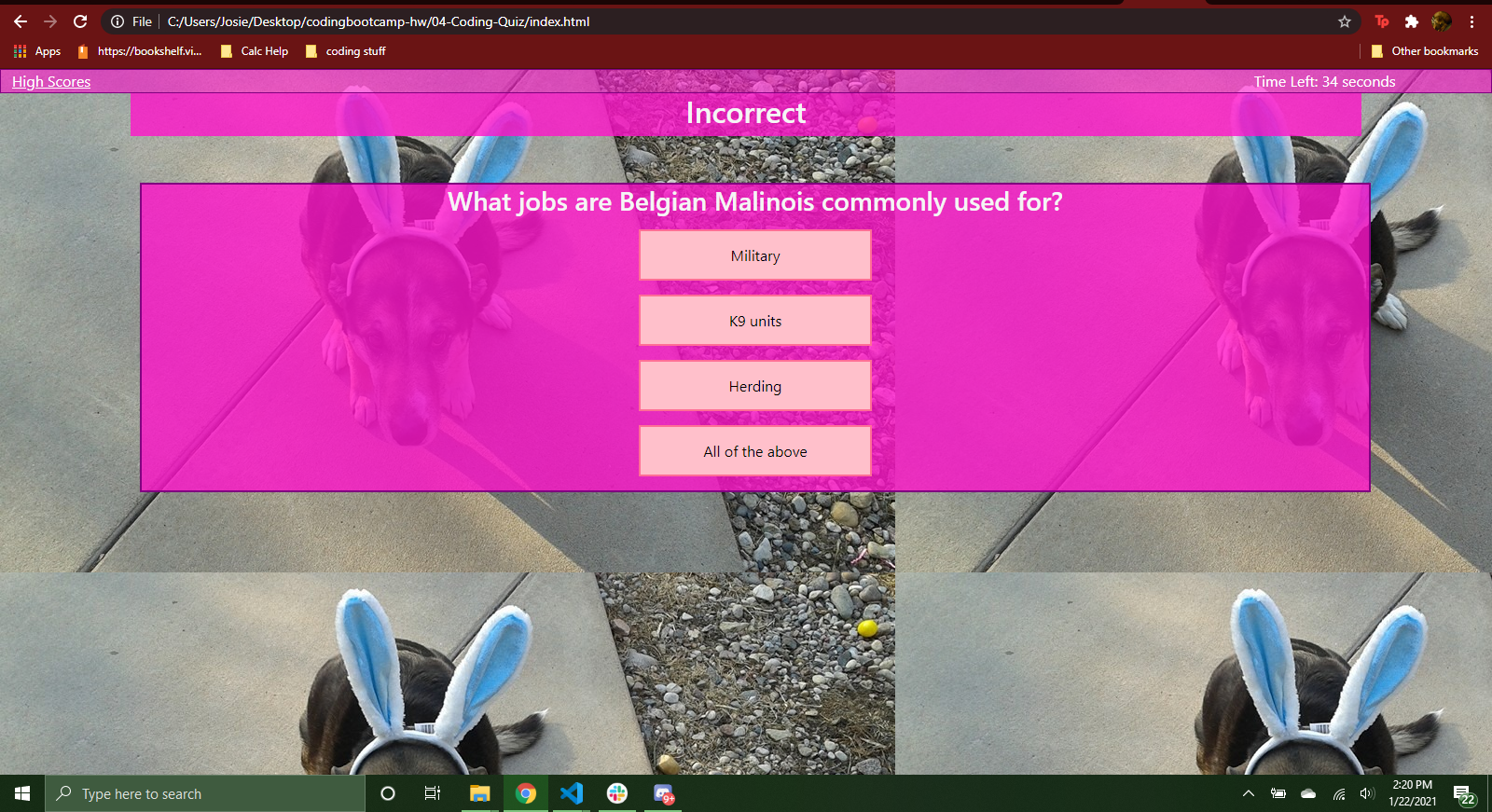 GitHub - josiecl/04-Coding-Quiz: Interactive quiz