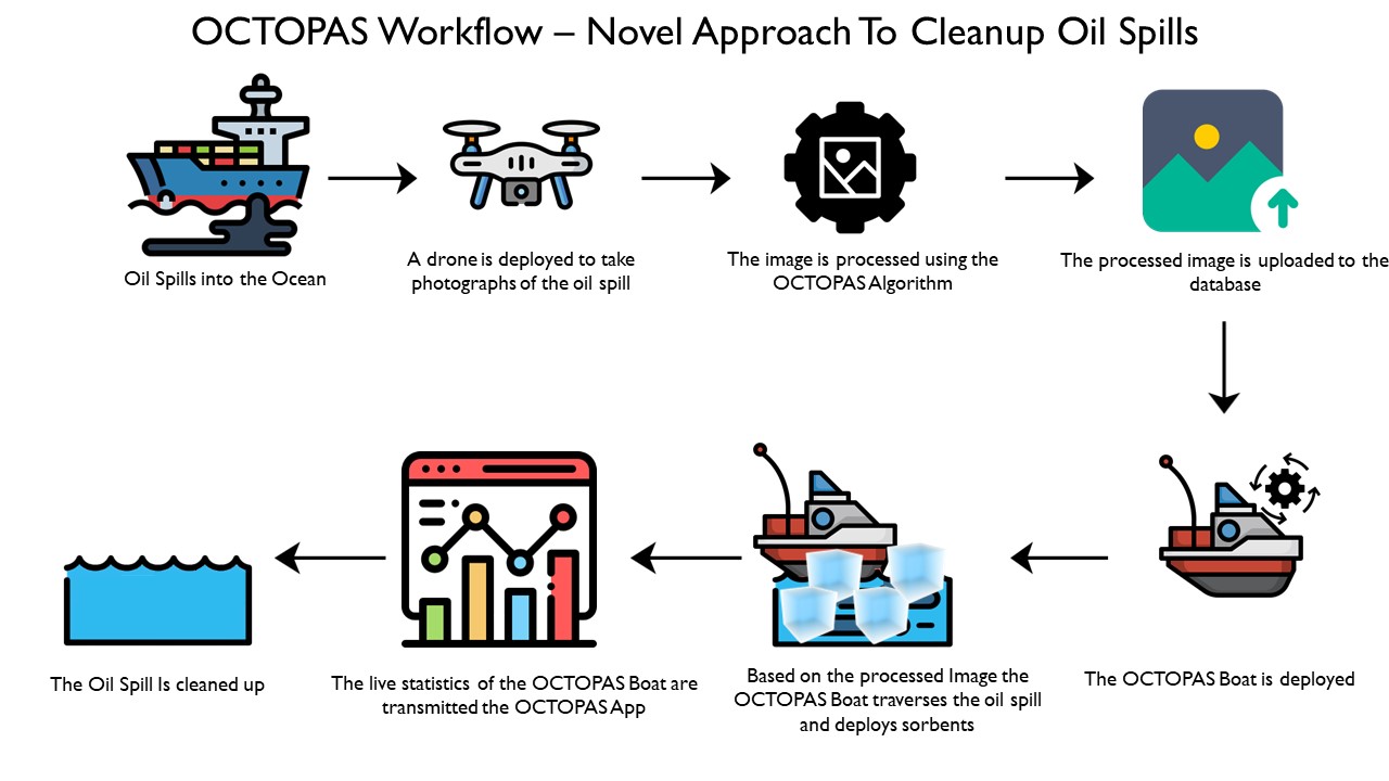 OCTOPAS System Workflow