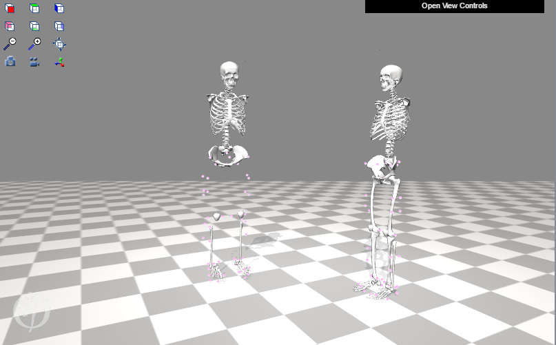 Geometry is incorrectly displayed after using Scale Tool when using a