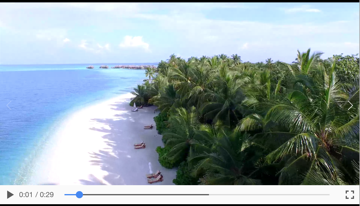 styled.video does not respect controlsList · Issue 1535 · styled