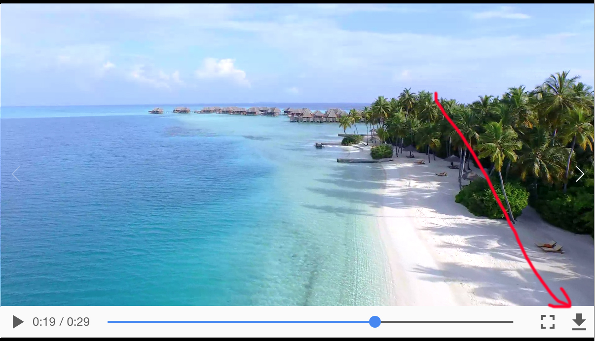 styled.video does not respect controlsList · Issue 1535 · styled