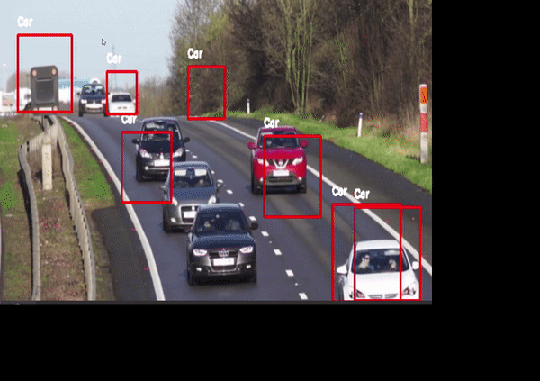 video_detection_result