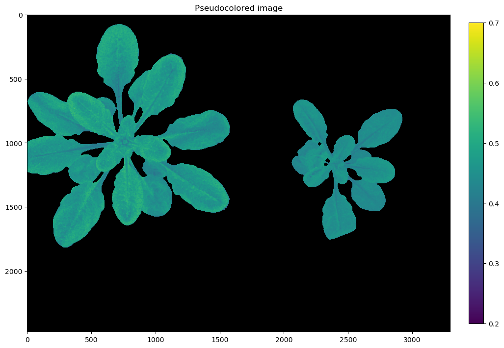 A2-GoldStandard_RGB-2019-03-31 16_11_45-VIS0_greenness