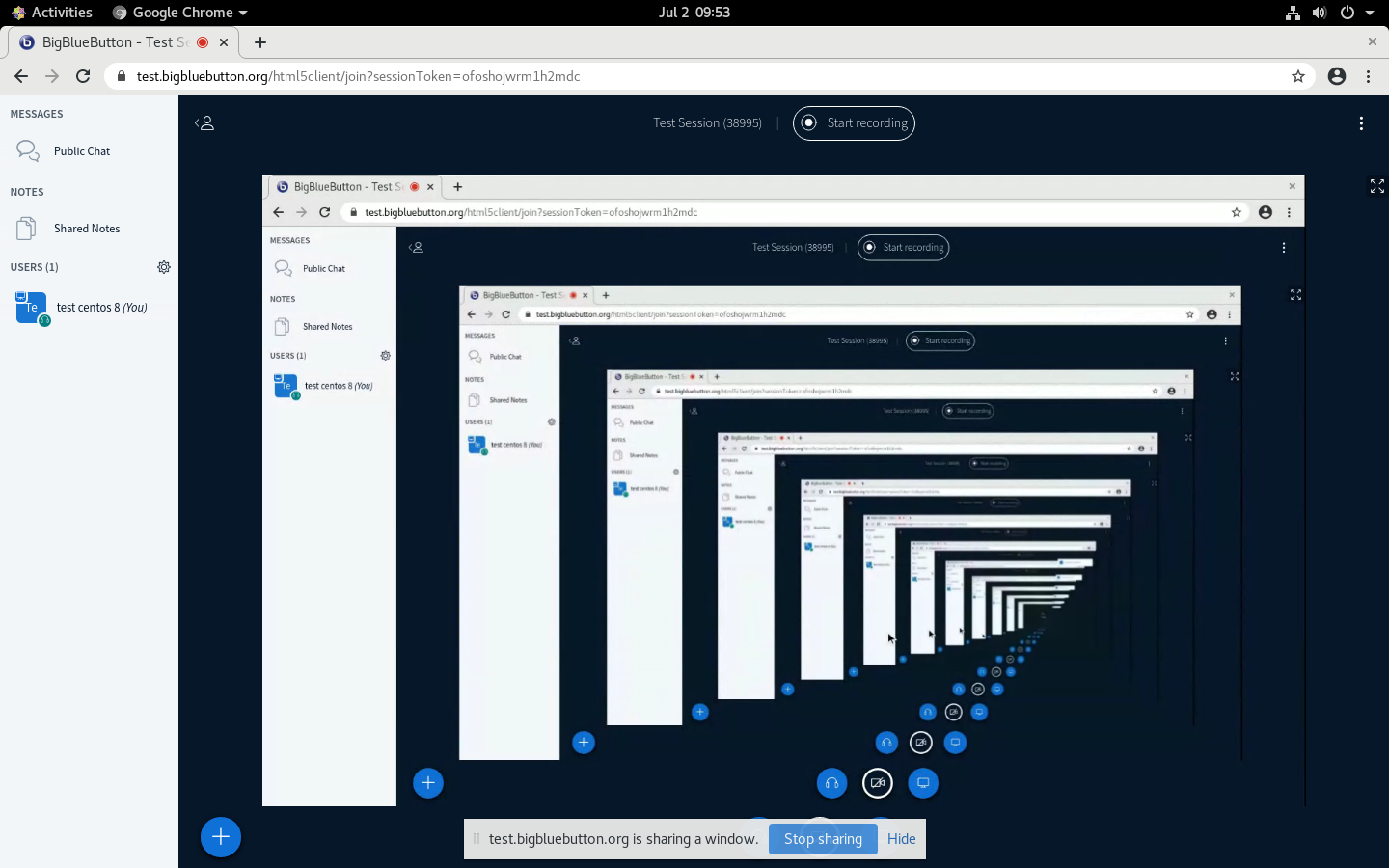 Screen Sharing Black screen when Entire Screen was selected · Issue