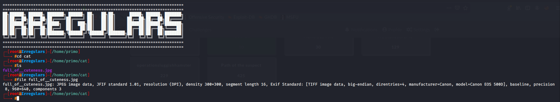 terminal