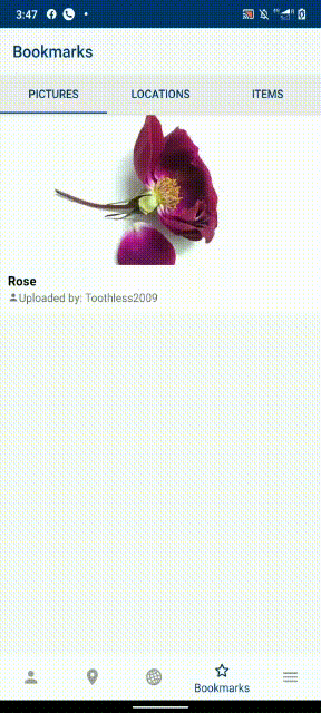 158153697-bc771dc7-372b-4380-a97f-0259f650fbc2